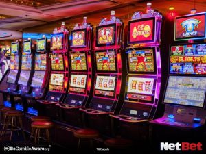 golfinhoty - Jogos Login Bet
