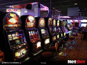 golfinhoty - Slot Bet Oficial