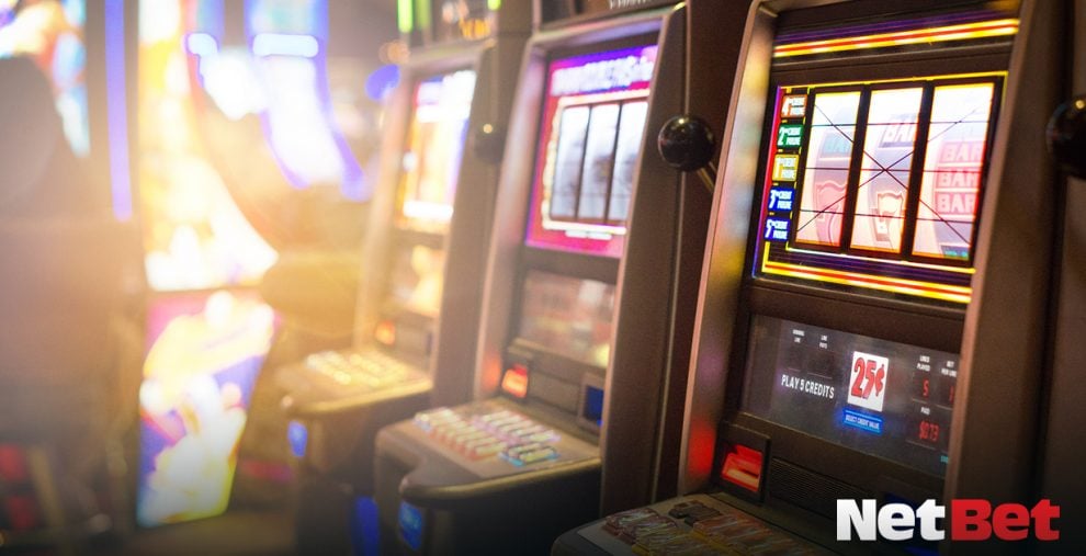 golfinhoty - Plataforma Jogos Bet