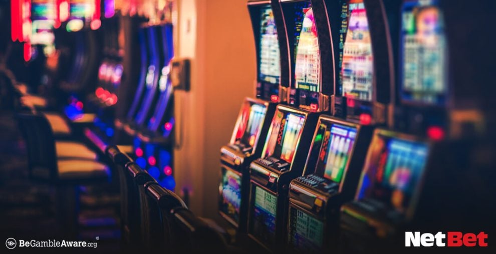 golfinhoty - Slot Fácil Login